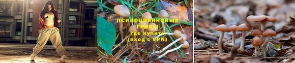 мескалин Медвежьегорск