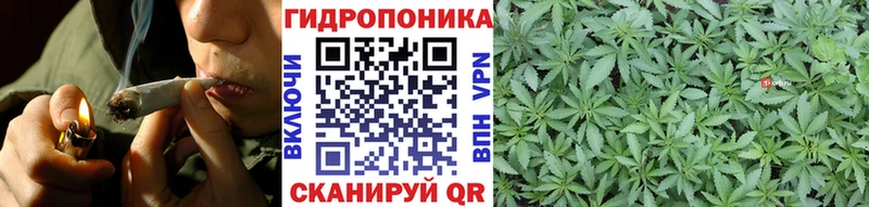 Купить  Чистополь  Конопля план 